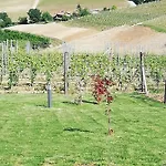 Maison d'hôtes A Cà Ed Franca E Giaco