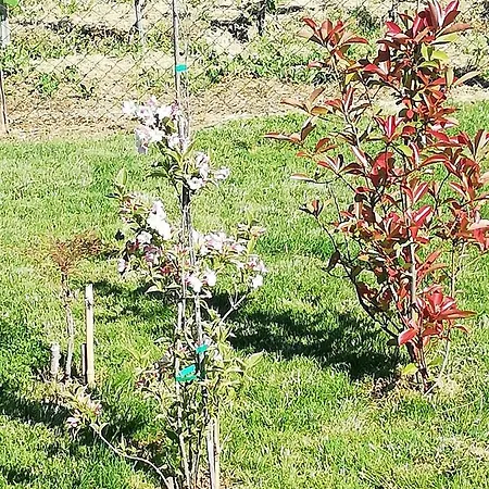 Guest house A Ca Ed Franca E Giaco