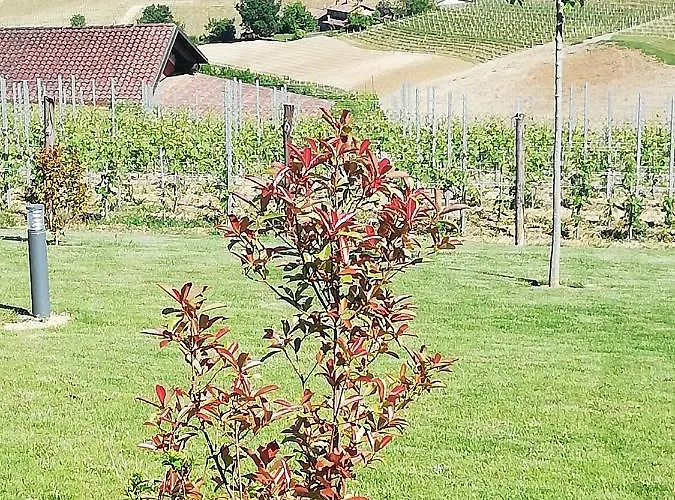 A Ca Ed Franca E Giaco Konukevi La Morra
